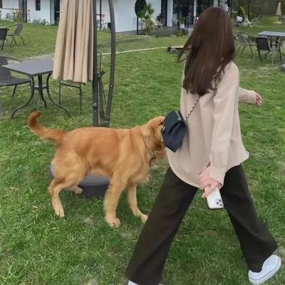 诡房客